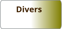 Divers